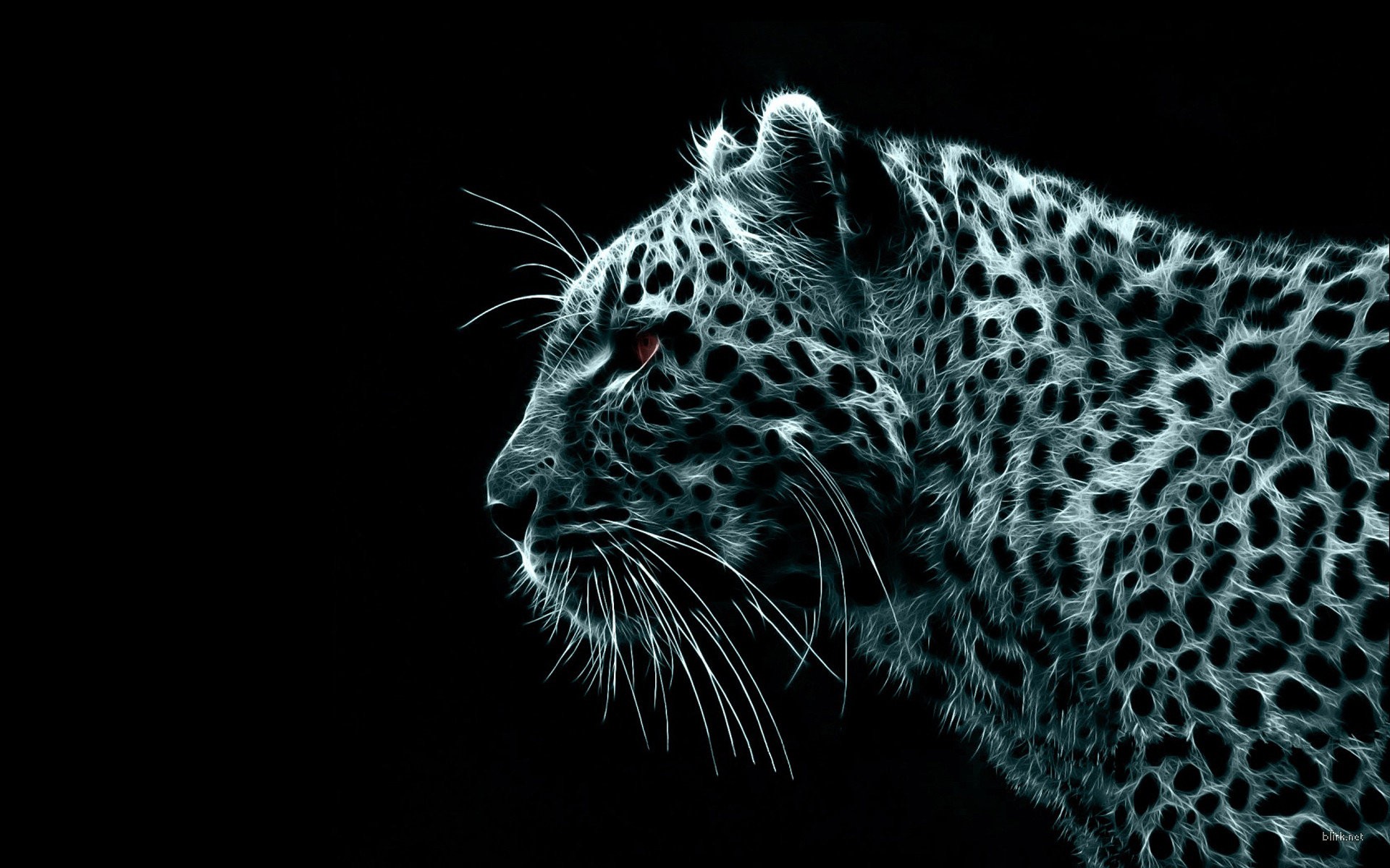 Black Tiger Hd Wallpapers