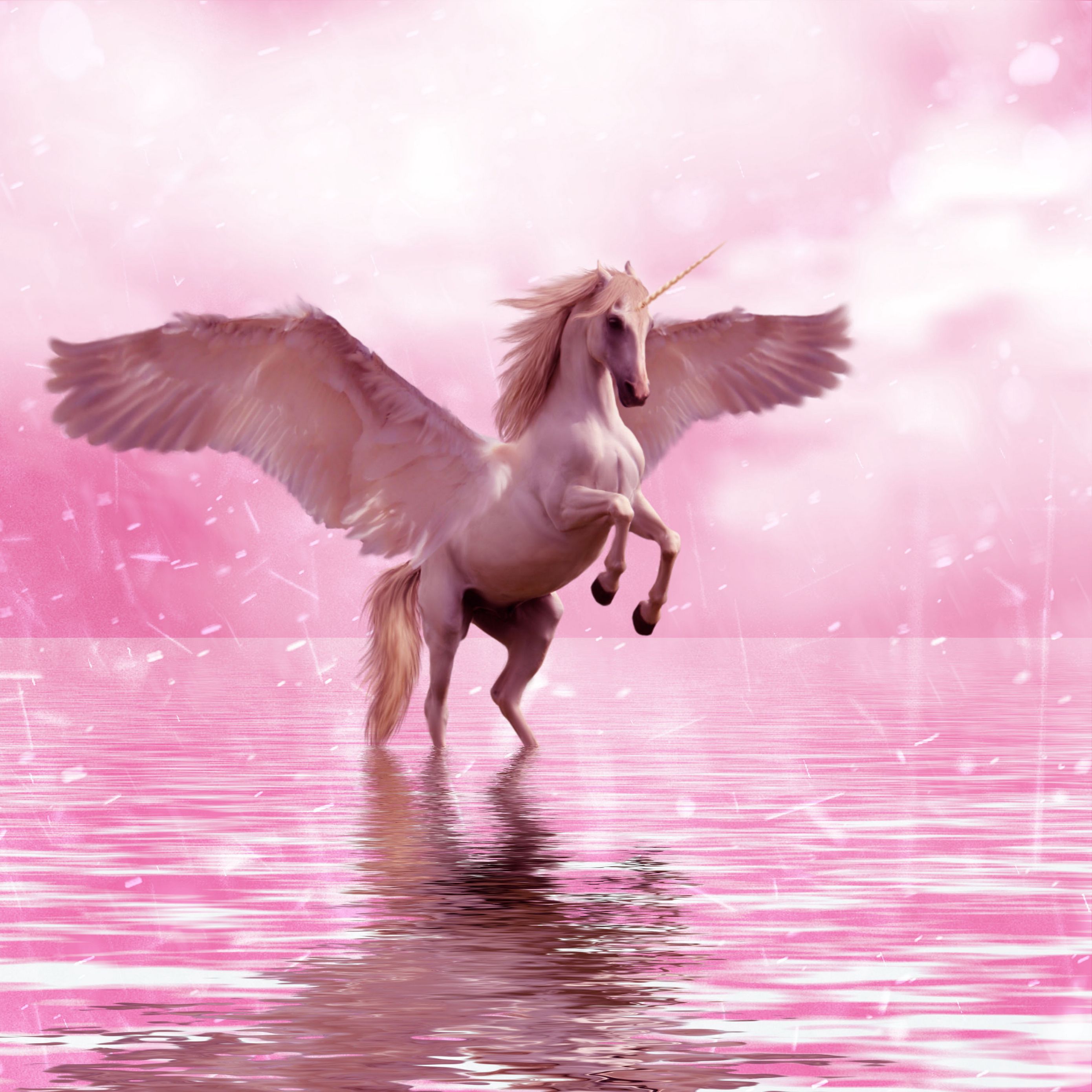 Black Unicorns With Wings Wallpapers