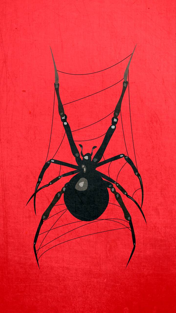 Black Widow Spider Wallpapers