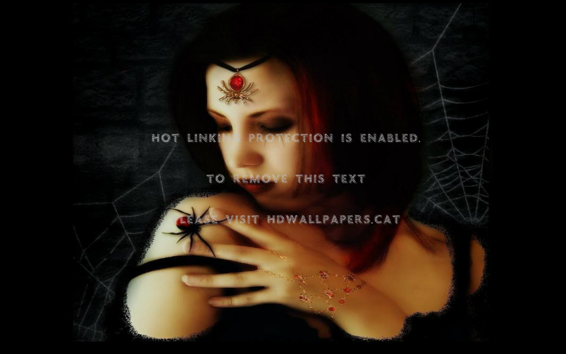 Black Widow Spider Wallpapers