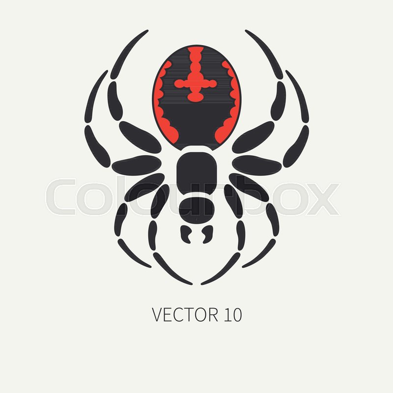 Black Widow Spider Wallpapers