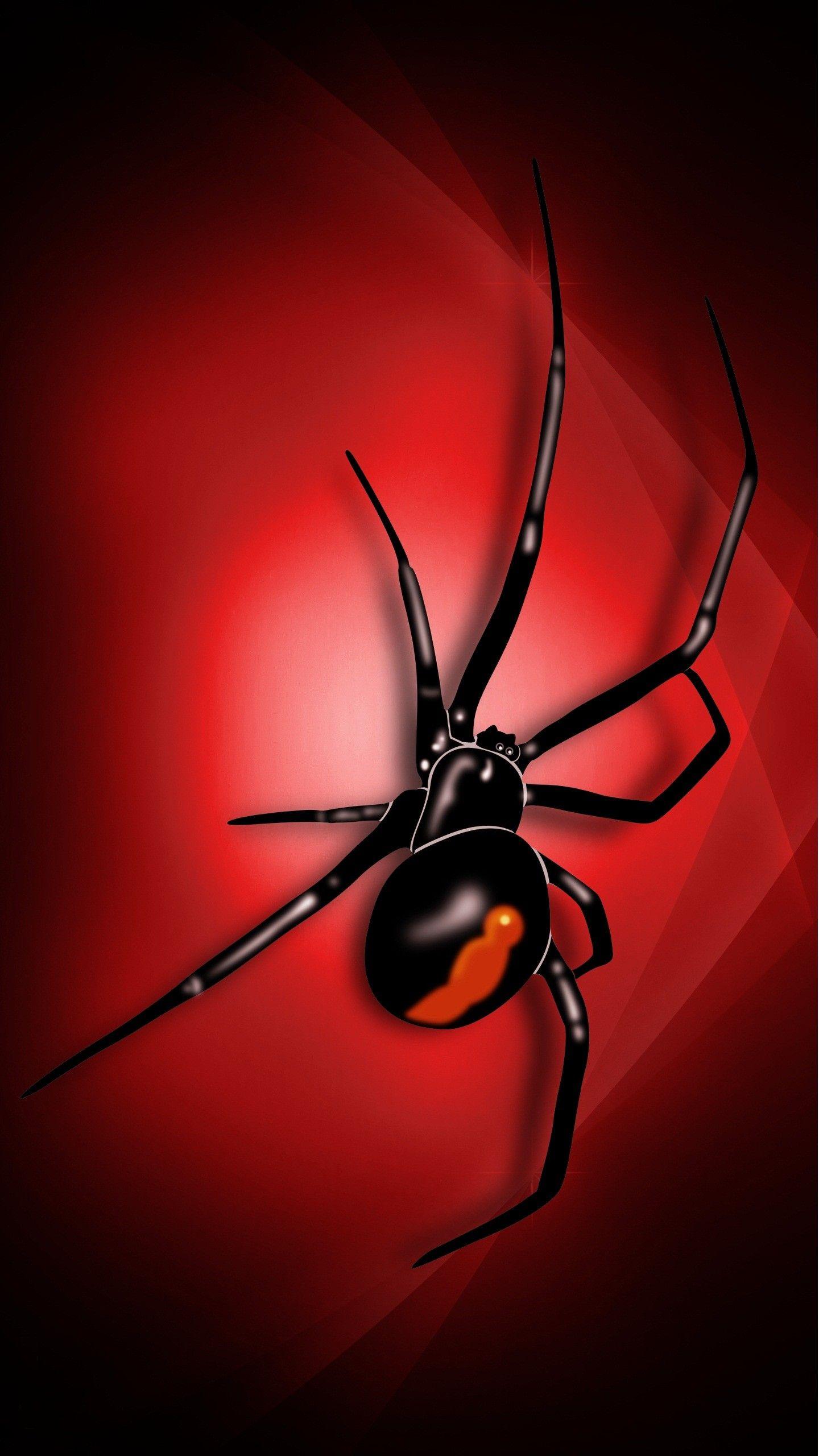 Black Widow Spiders Wallpapers