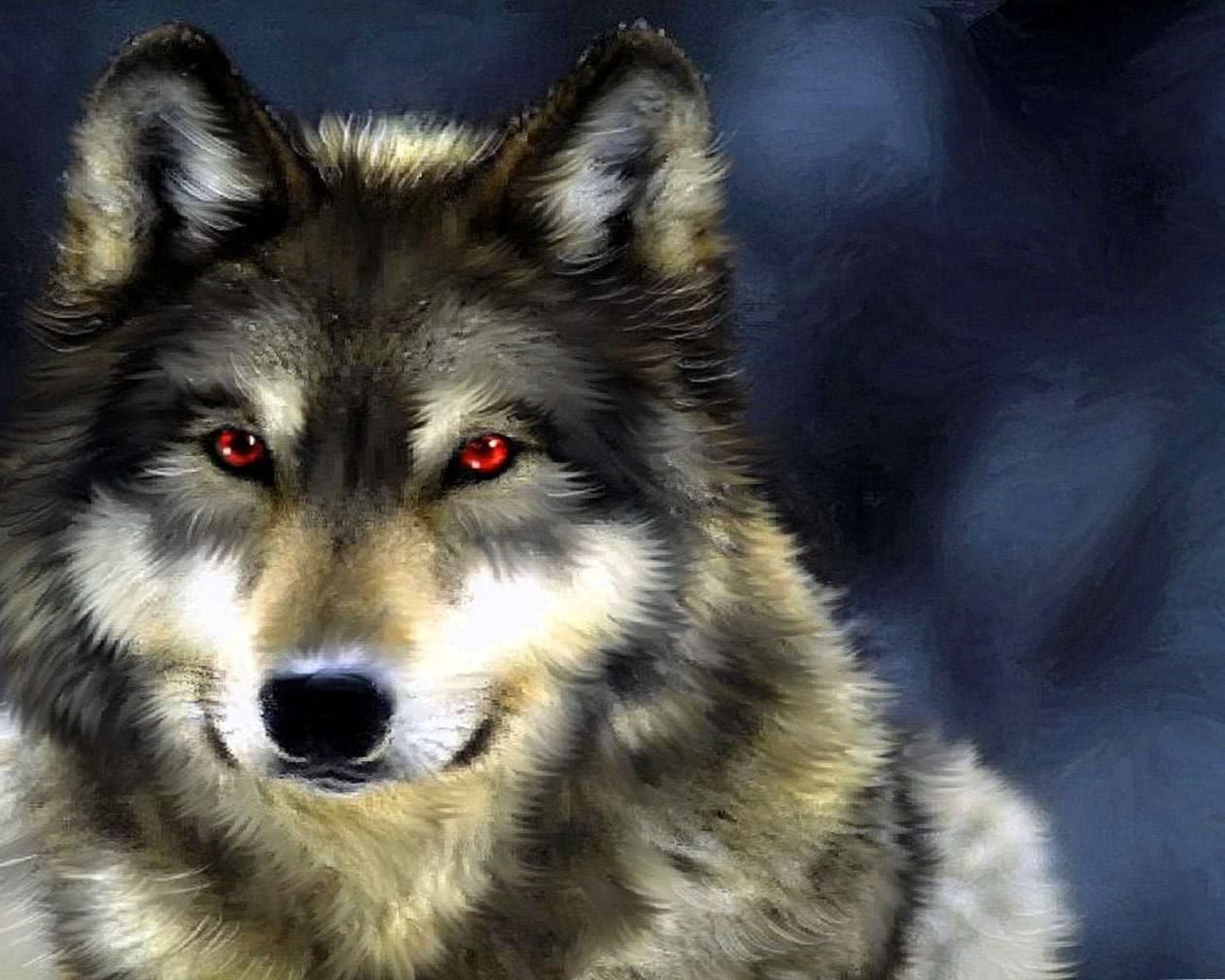 Black Wolf Red Eyes Wallpapers