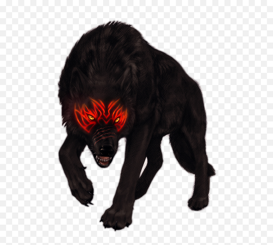 Black Wolf Red Eyes Wallpapers