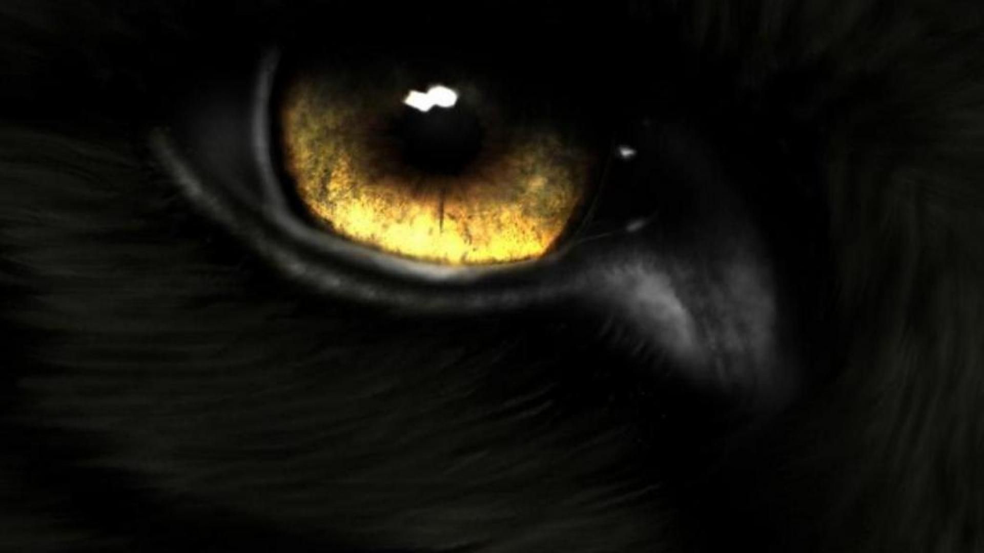 Black Wolf Red Eyes Wallpapers