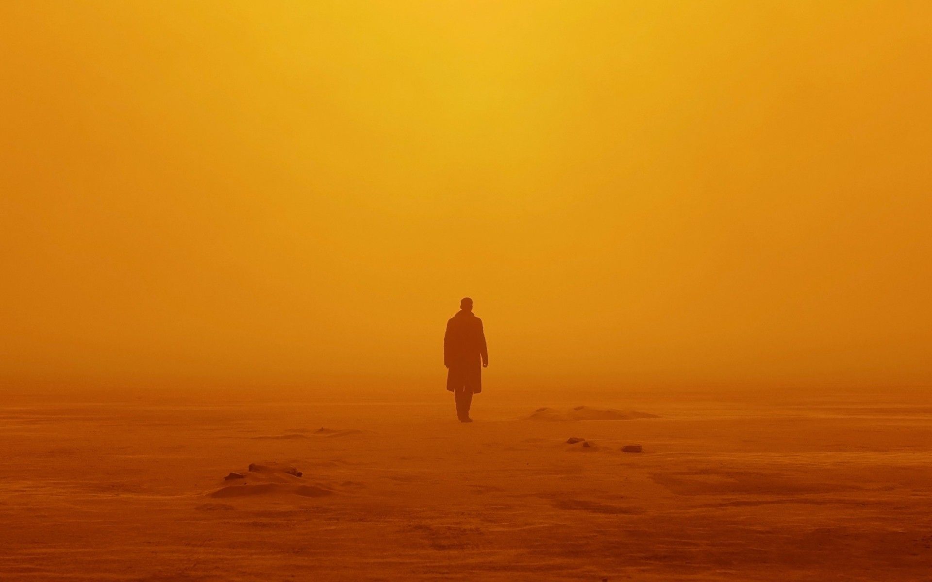 Blade Runner 2049 Movie Wallpapers