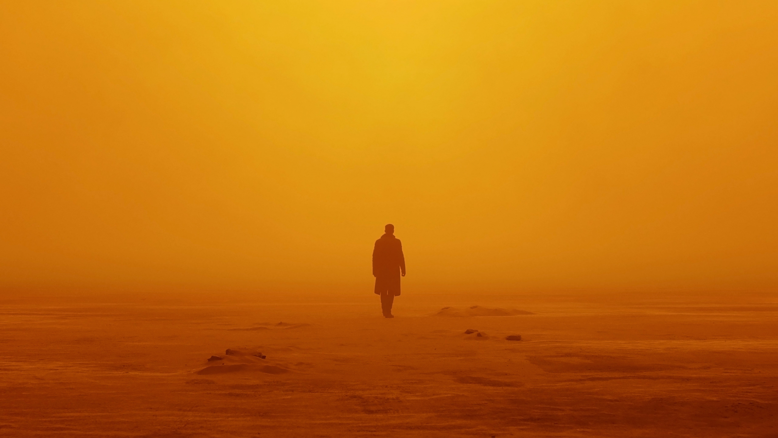 Blade Runner 2049 Still Wallpapers