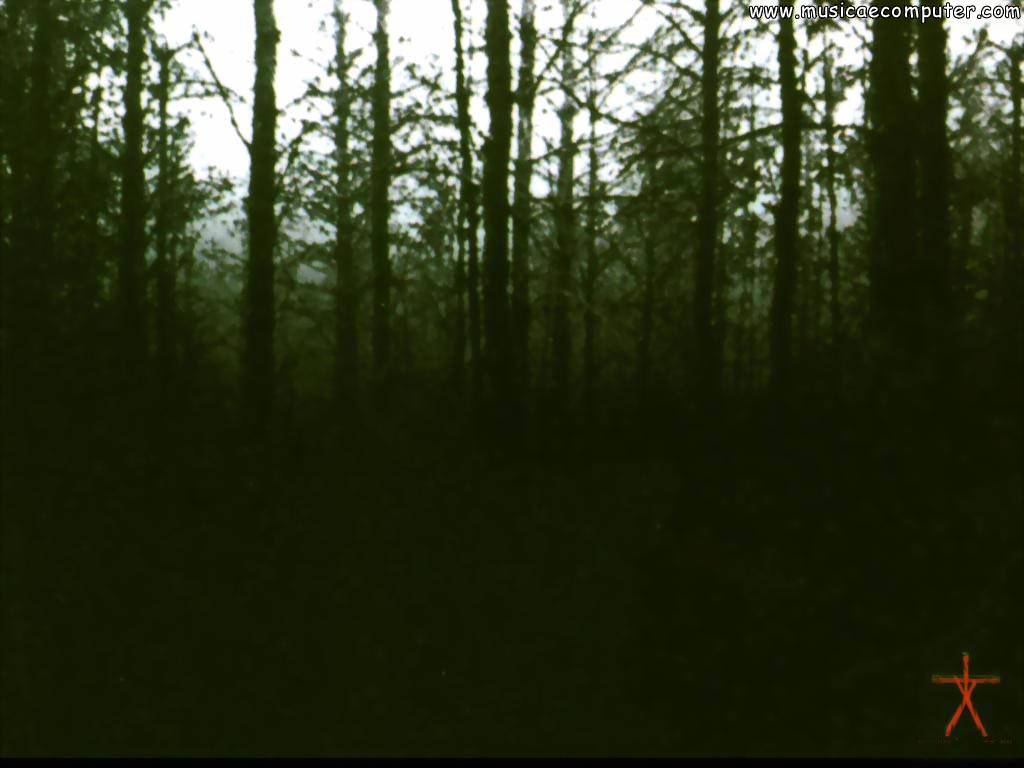 Blair Witch Wallpapers