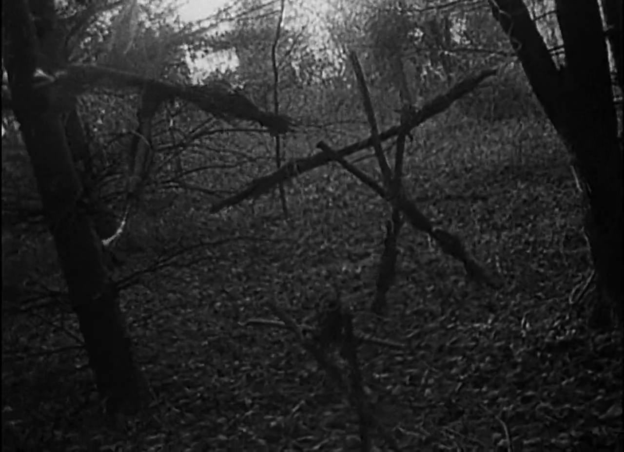 Blair Witch Wallpapers