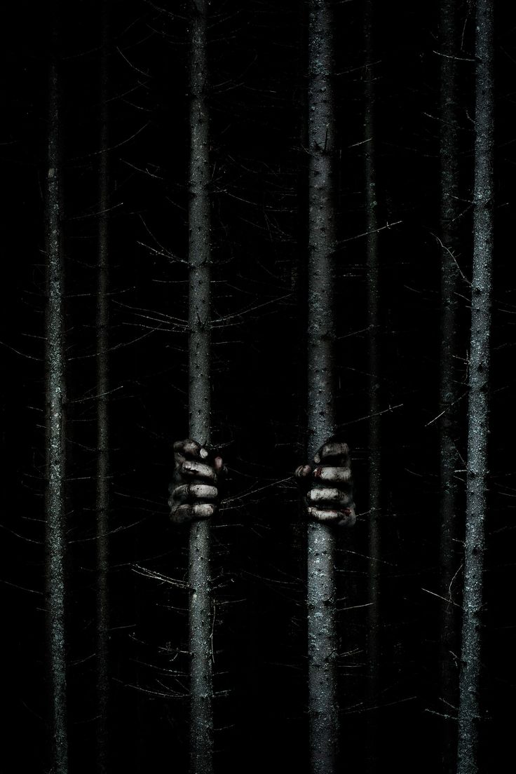 Blair Witch Wallpapers