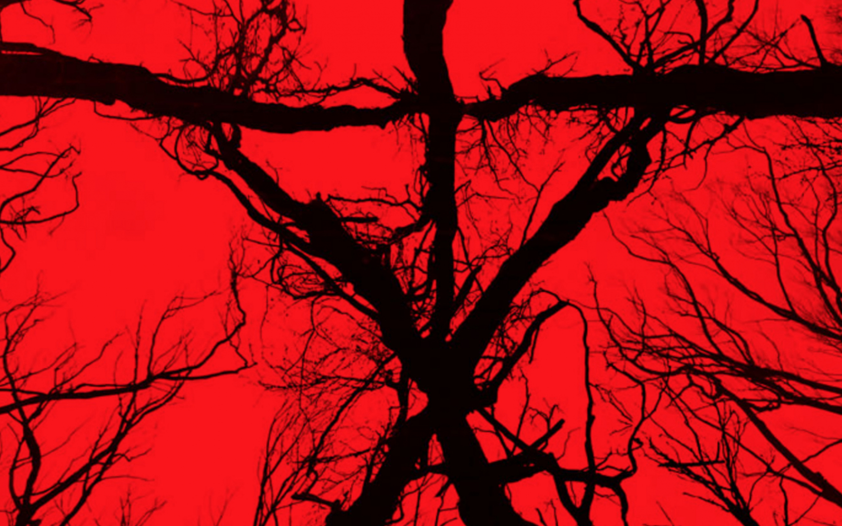 Blair Witch Wallpapers