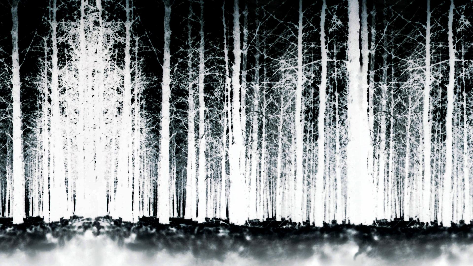 Blair Witch Wallpapers