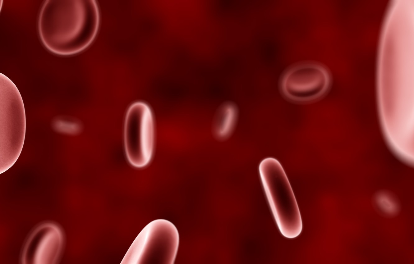 Blood Cells Wallpapers