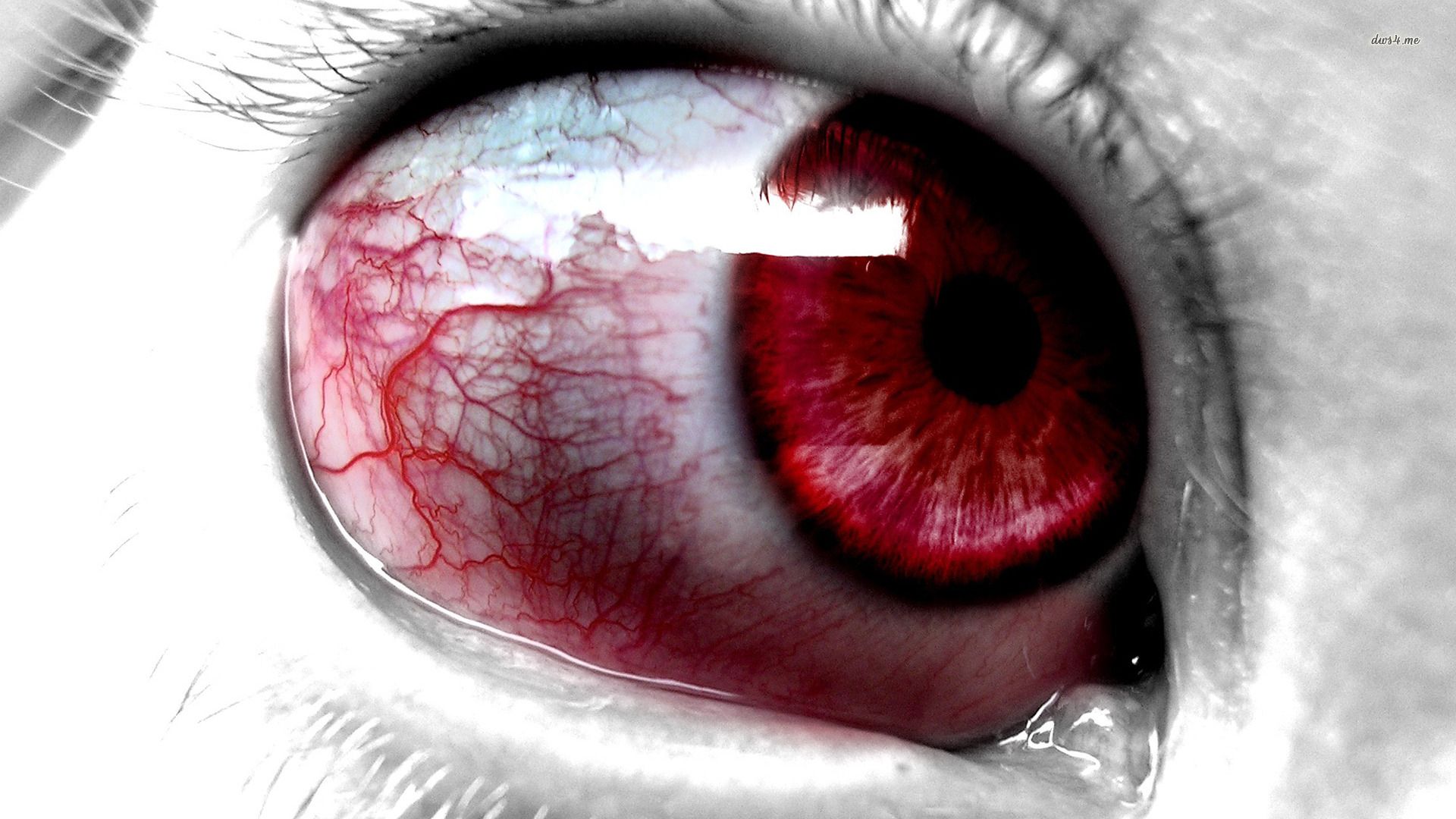 Blood Eyes Wallpapers