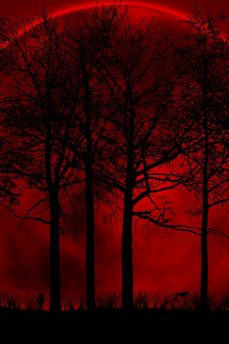 Blood Iphone Wallpapers