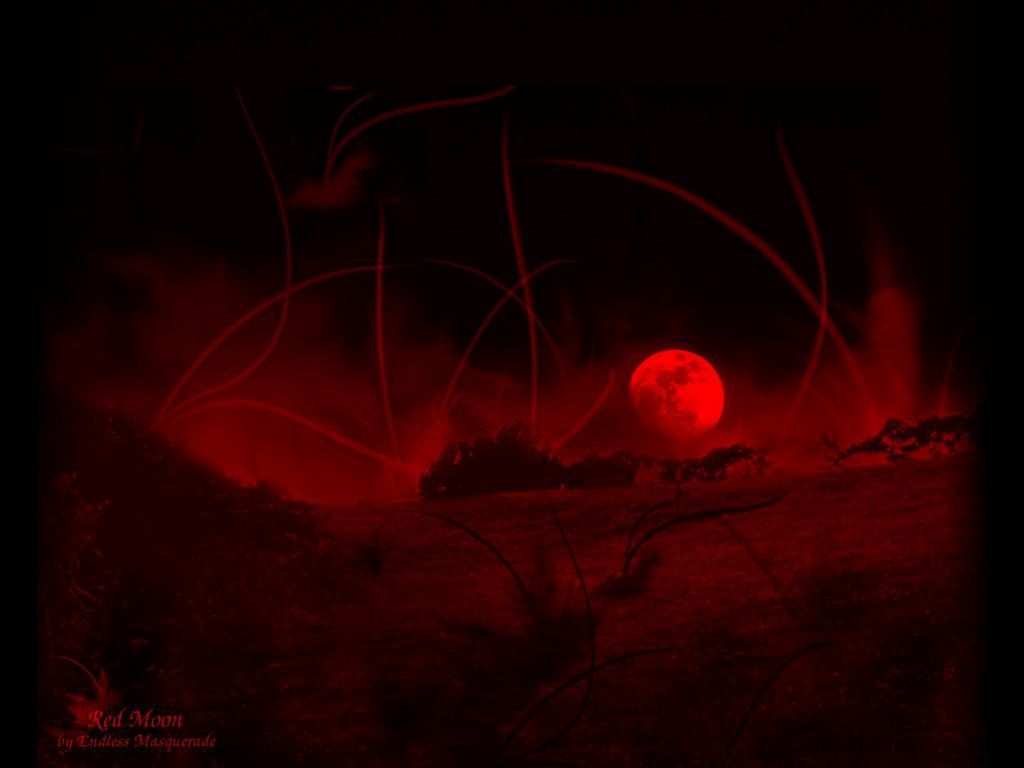 Blood Moon Wallpapers