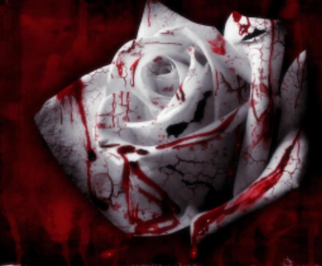 Bloody Roses Wallpapers