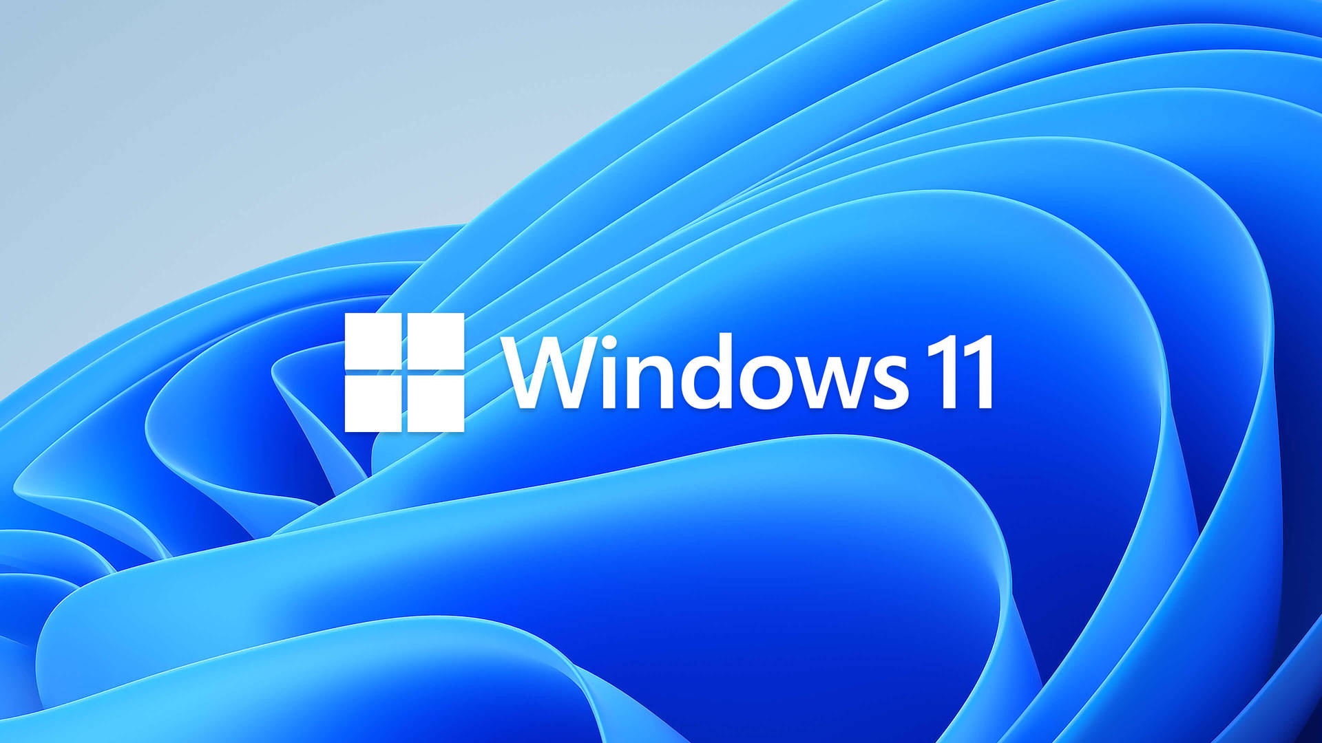 Bloom Windows 11 Se Wallpapers