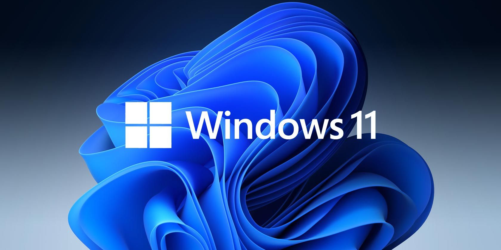 Bloom Windows 11 Se Wallpapers