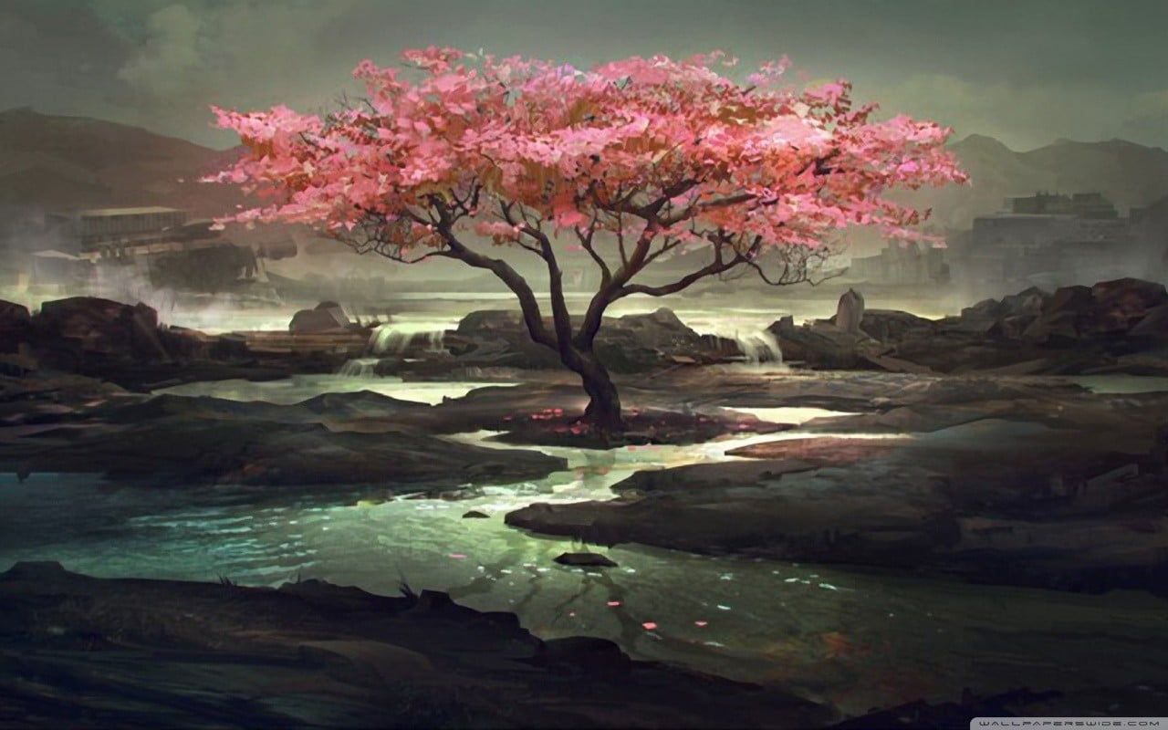 Blossom Artistic Path Wallpapers