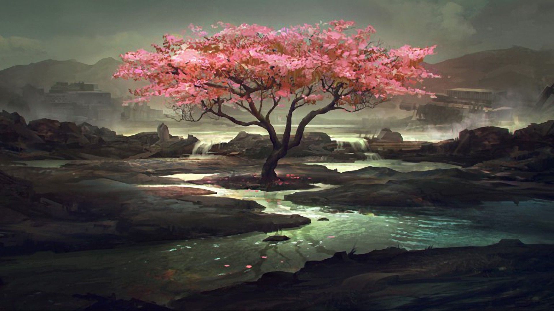 Blossom Artistic Path Wallpapers