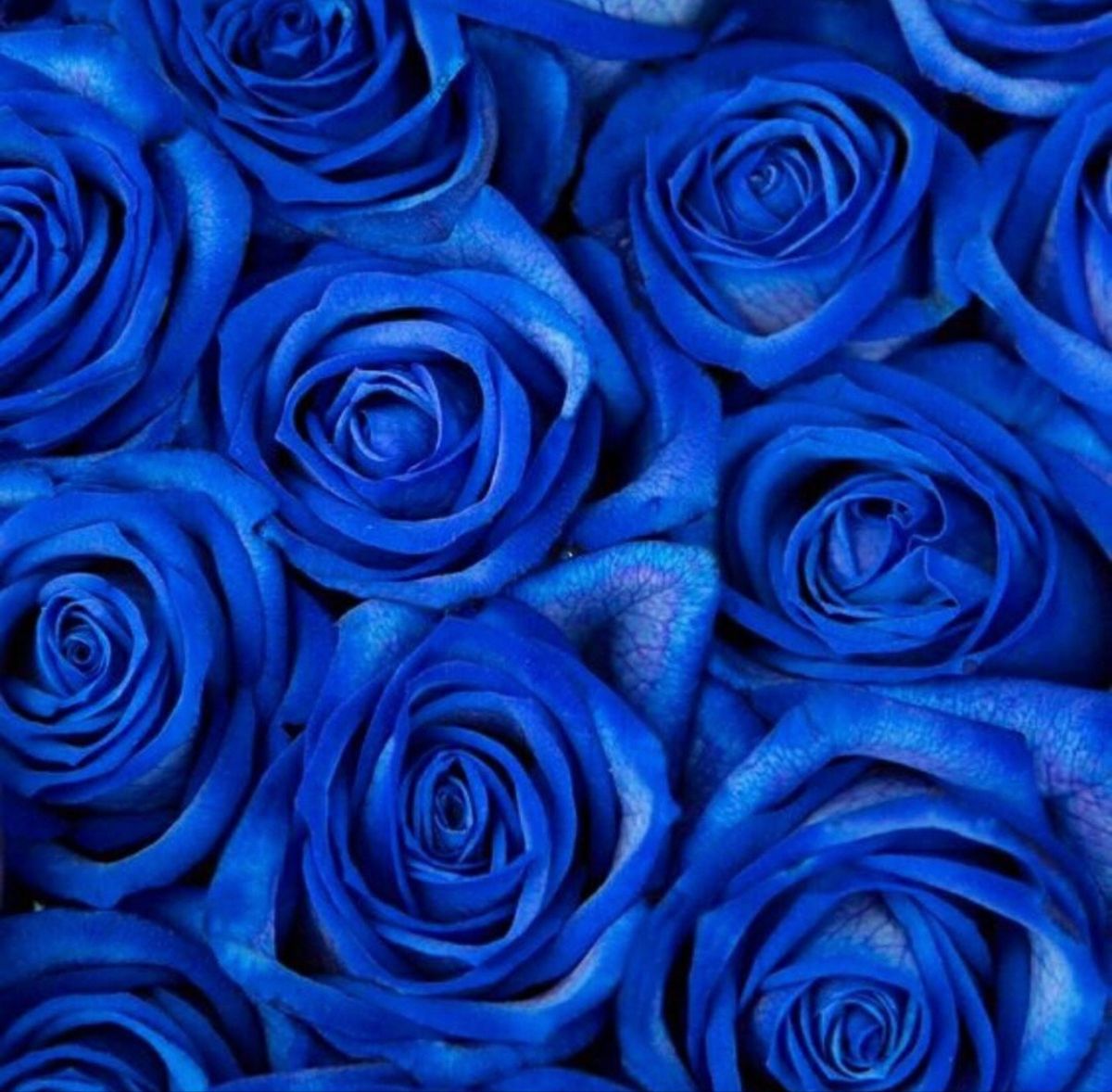 Blue Aesthetic Flowers Wallpapers