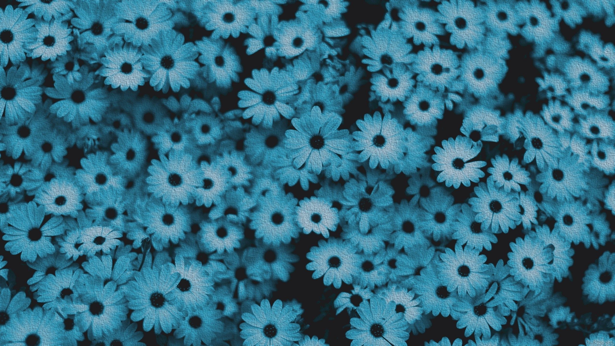 Blue Aesthetic Flowers Wallpapers