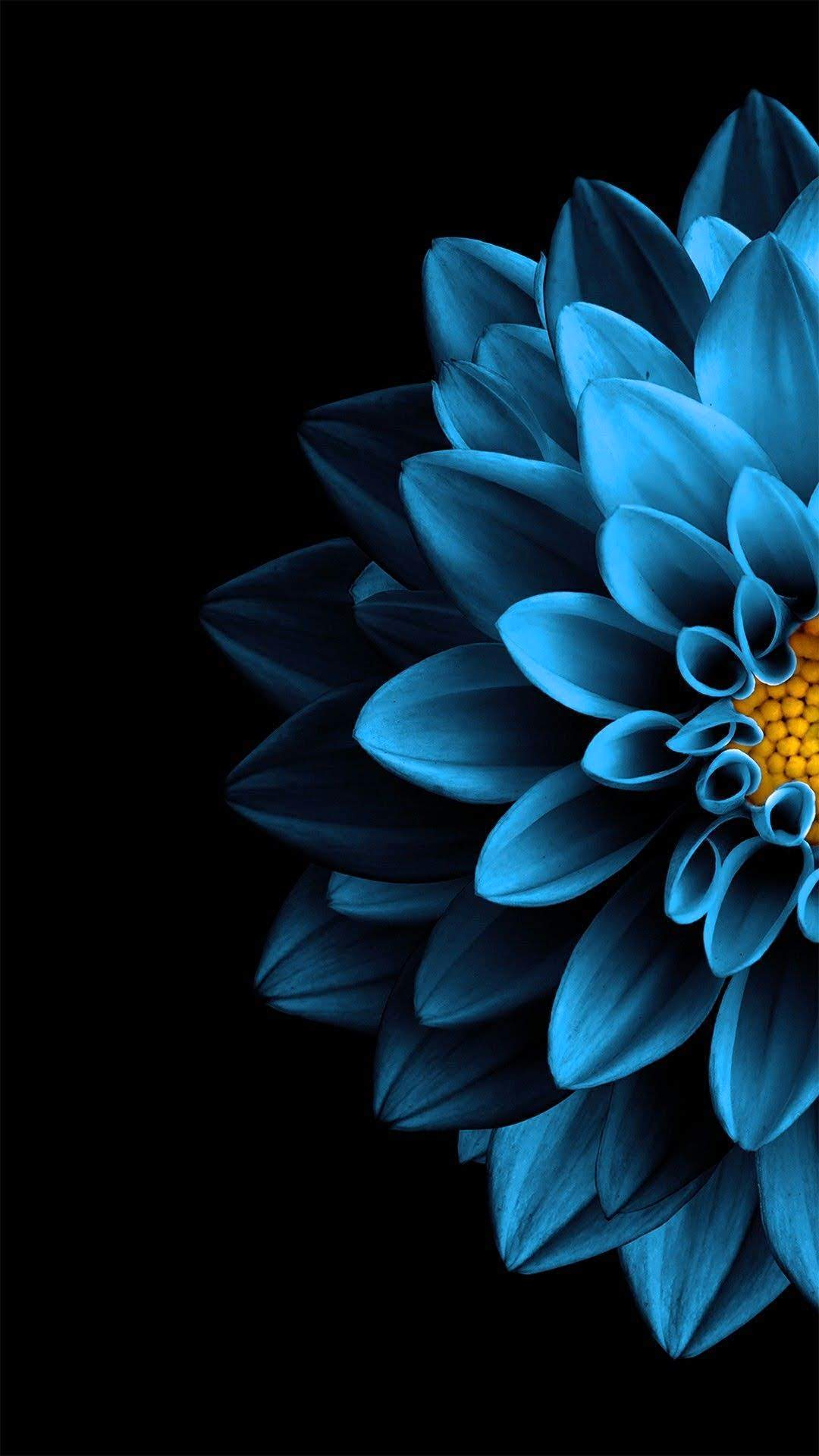 Blue Amoled Wallpapers