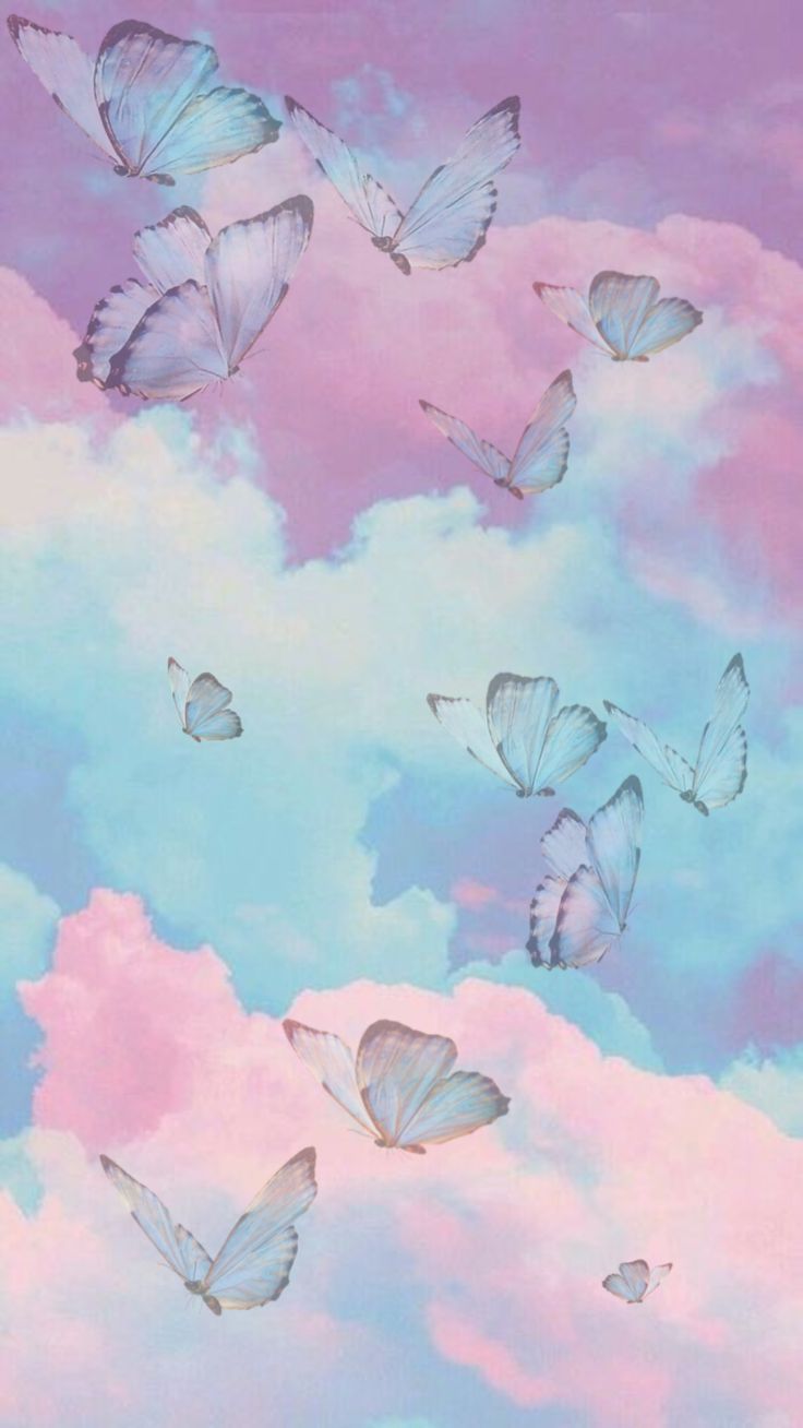 Blue And Pink Butterfly Wallpapers