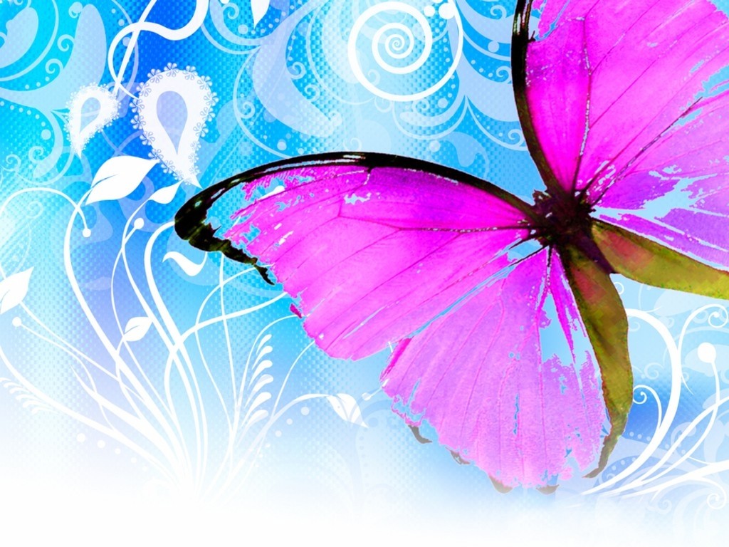 Blue And Pink Butterfly Wallpapers