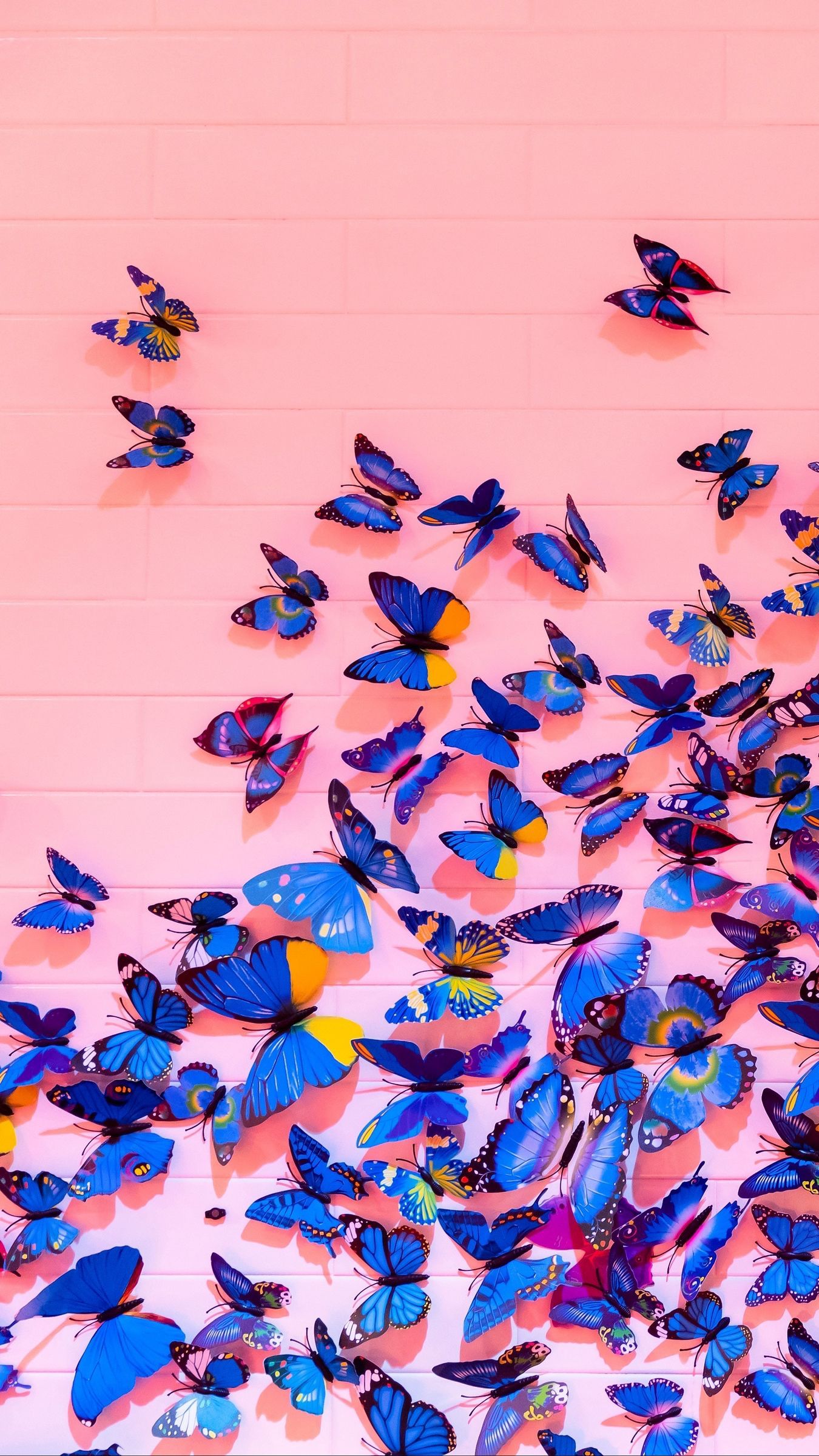 Blue And Pink Butterfly Wallpapers