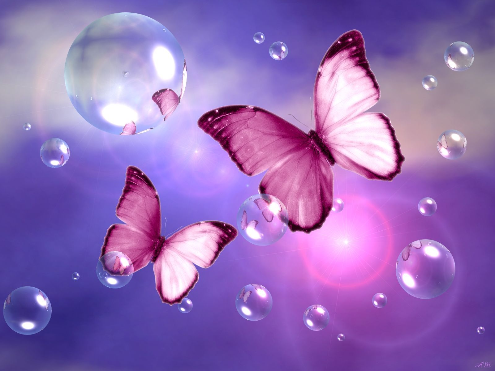 Blue And Pink Butterfly Wallpapers