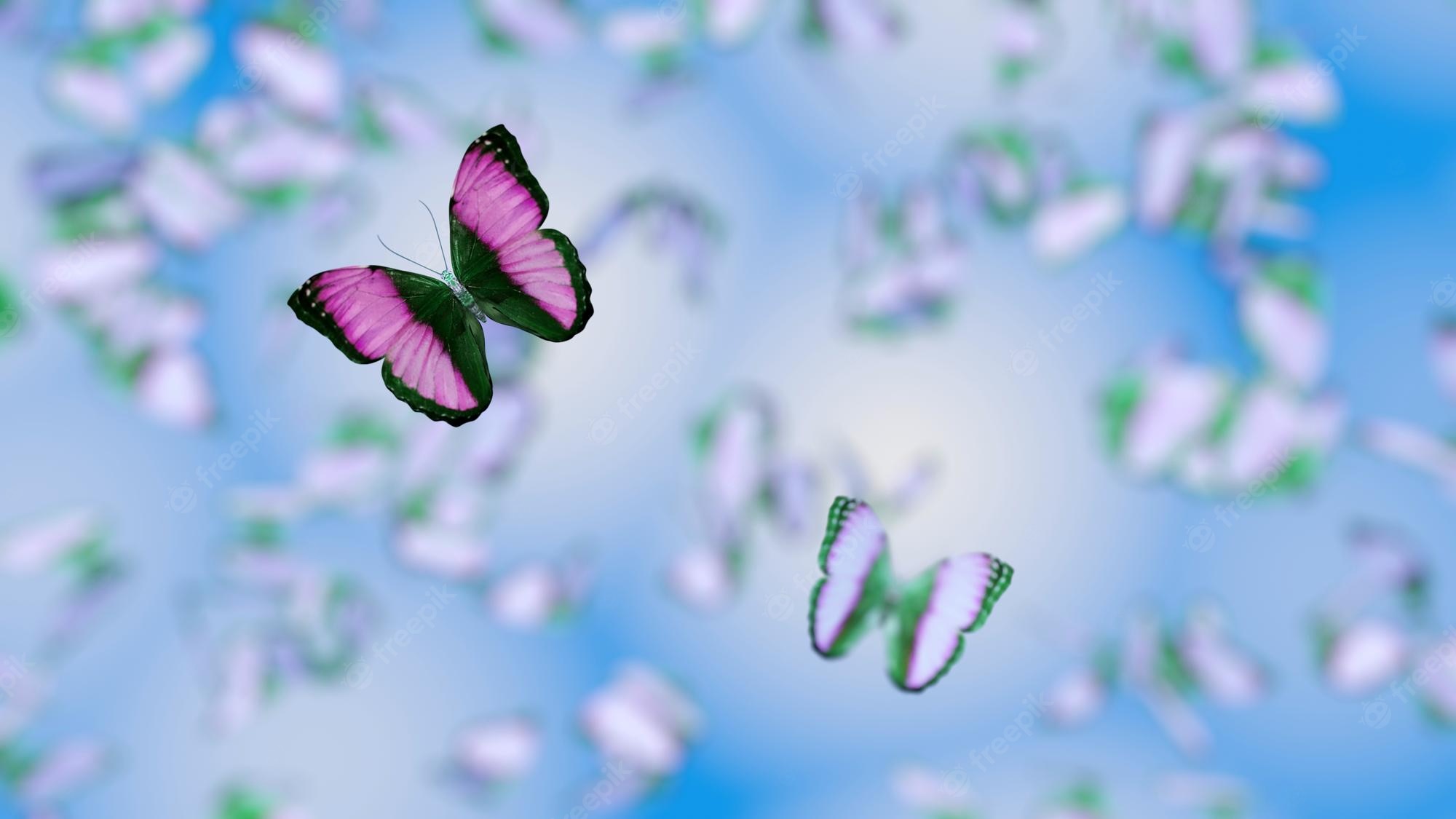 Blue And Pink Butterfly Wallpapers