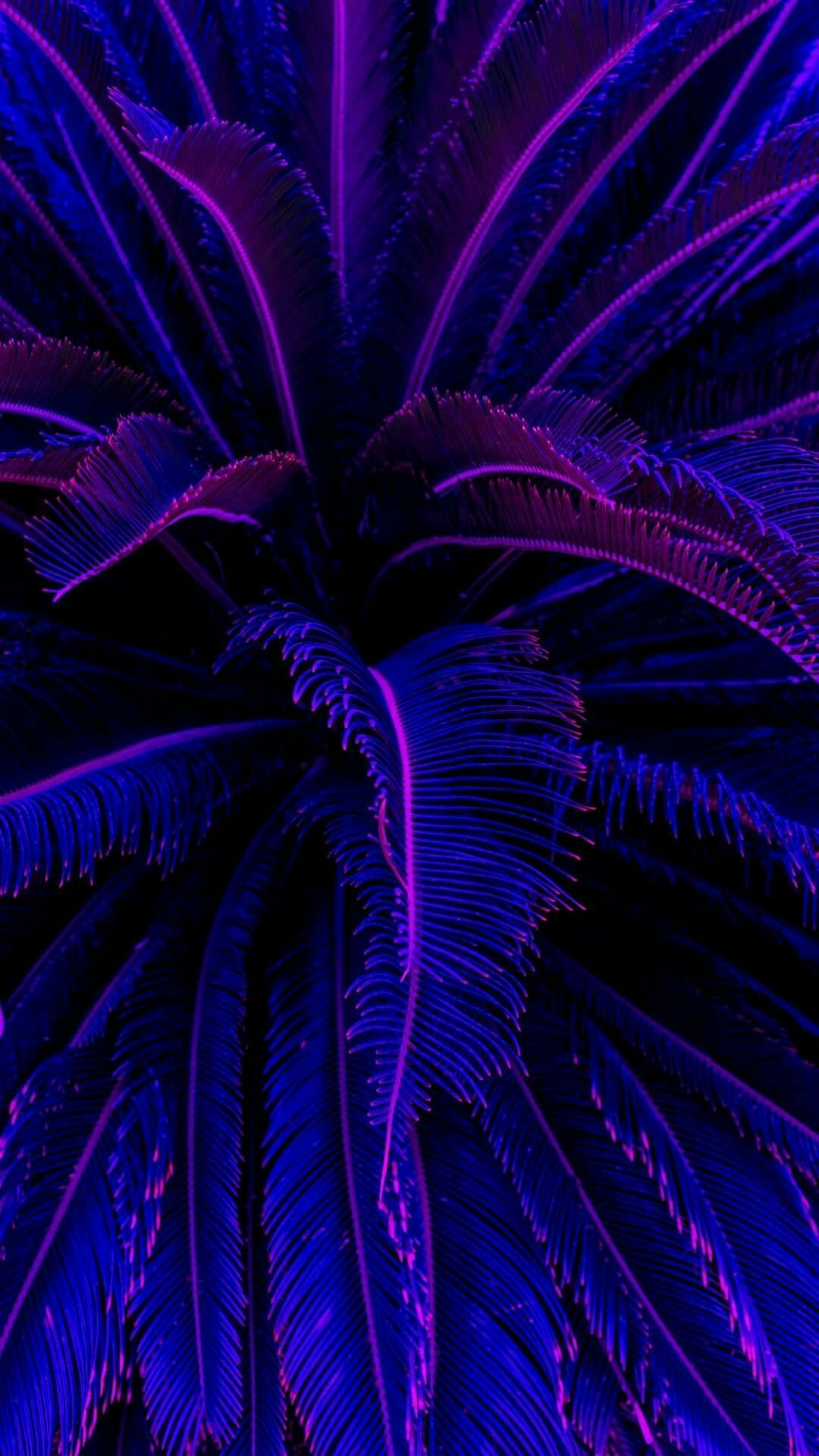 Blue And Purple Aesthetic Wallpapers