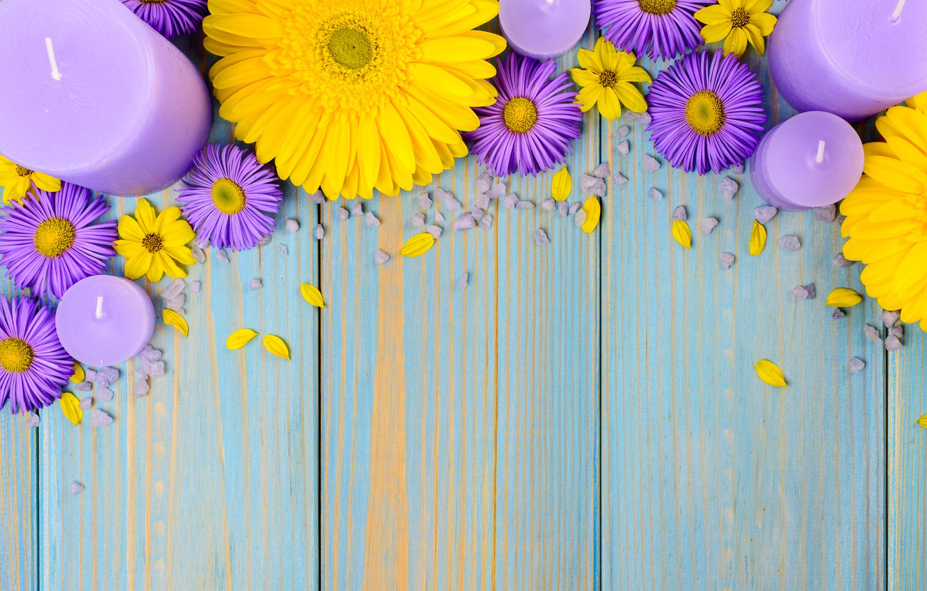 Blue And Purple Flowers Background