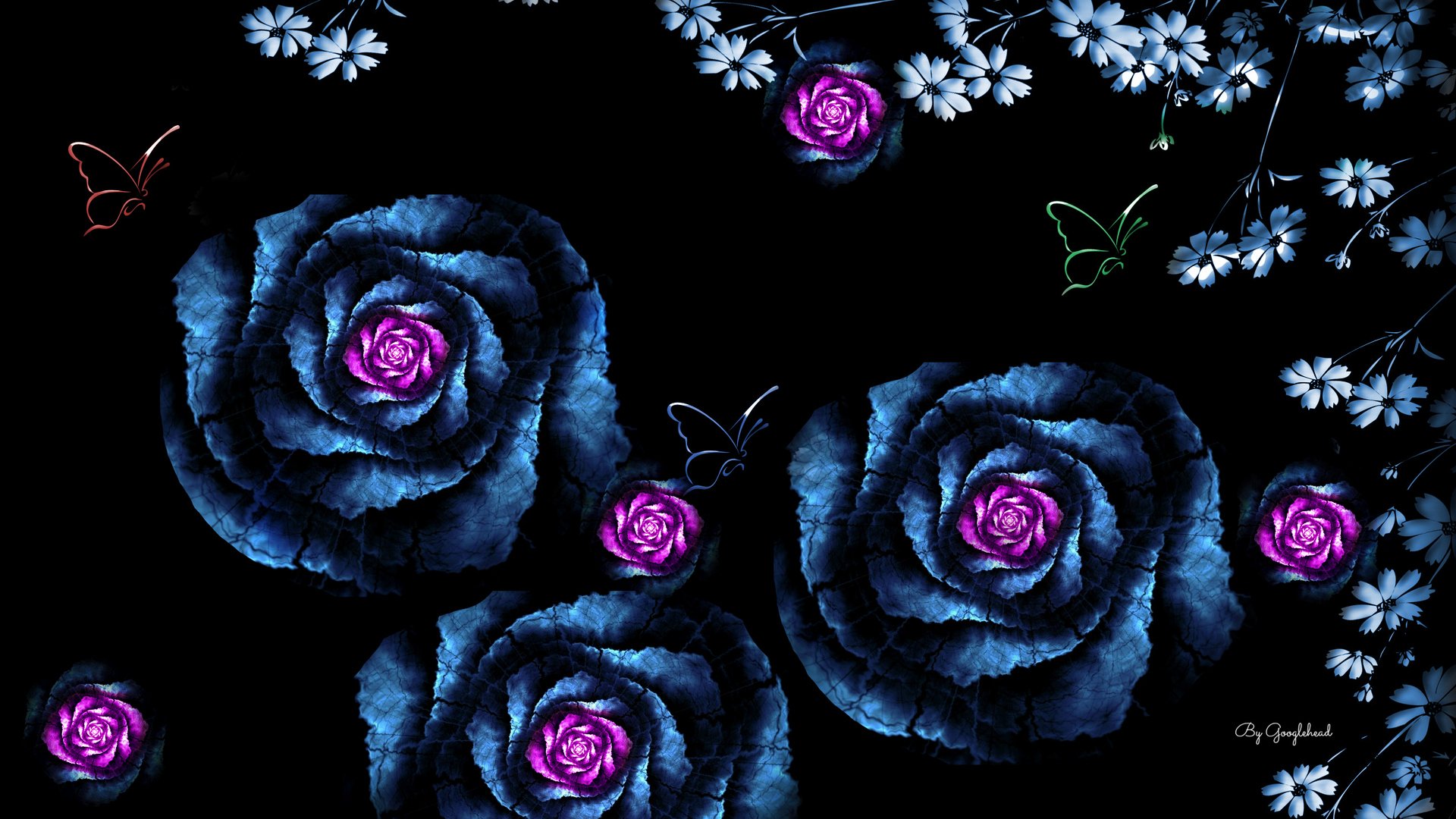 Blue And Purple Roses Wallpapers