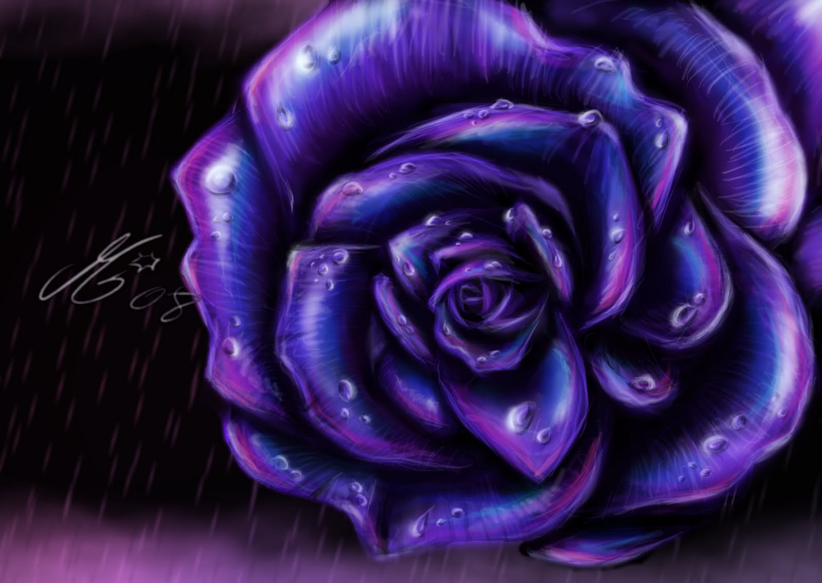 Blue And Purple Roses Wallpapers