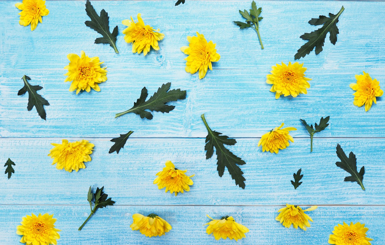 Blue And Yellow Flower Wallpapers