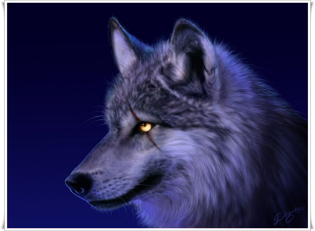 Blue Anime Wolf Wallpapers