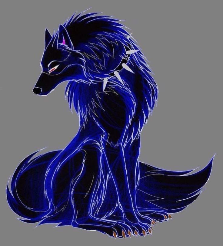 Blue Anime Wolf Wallpapers