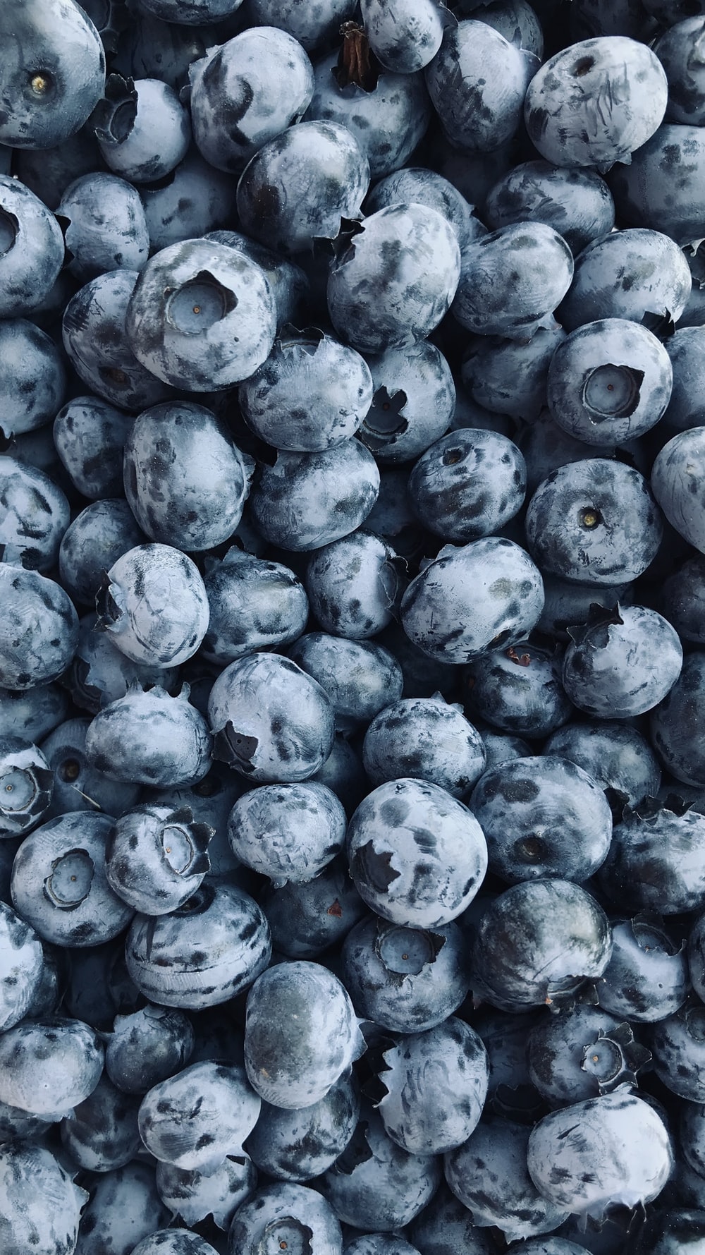 Blue Berry Wallpapers