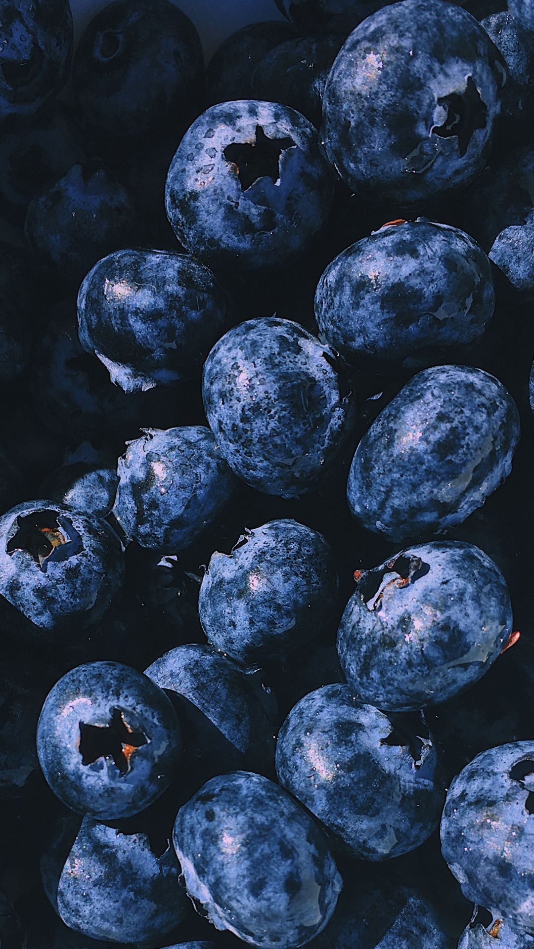 Blue Berry Wallpapers