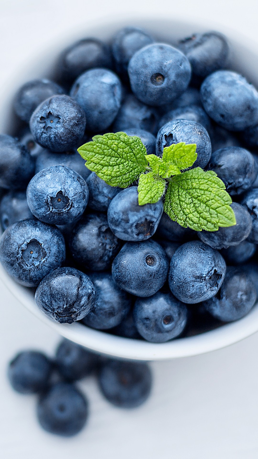 Blue Berry Wallpapers