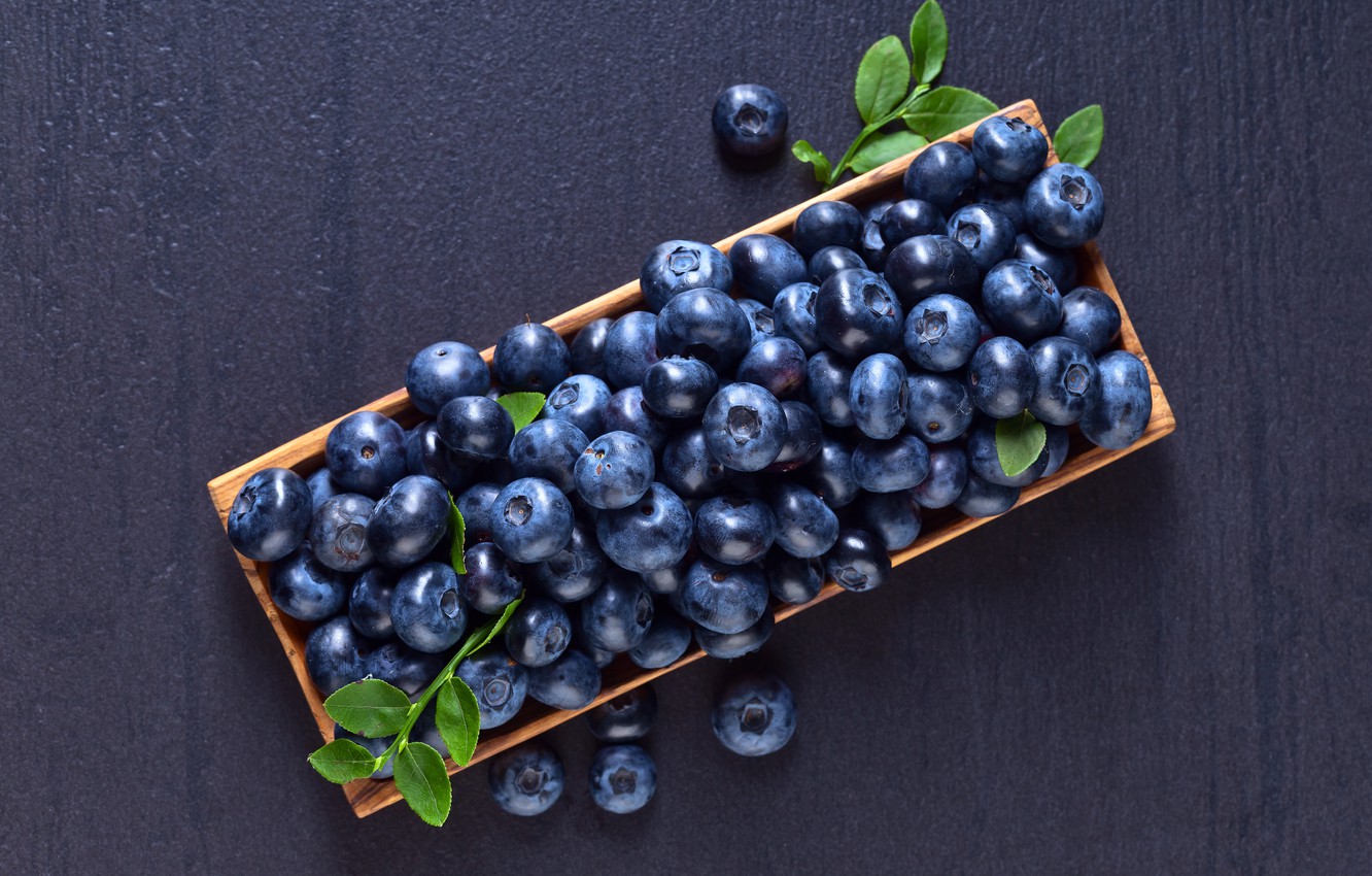 Blue Berry Wallpapers