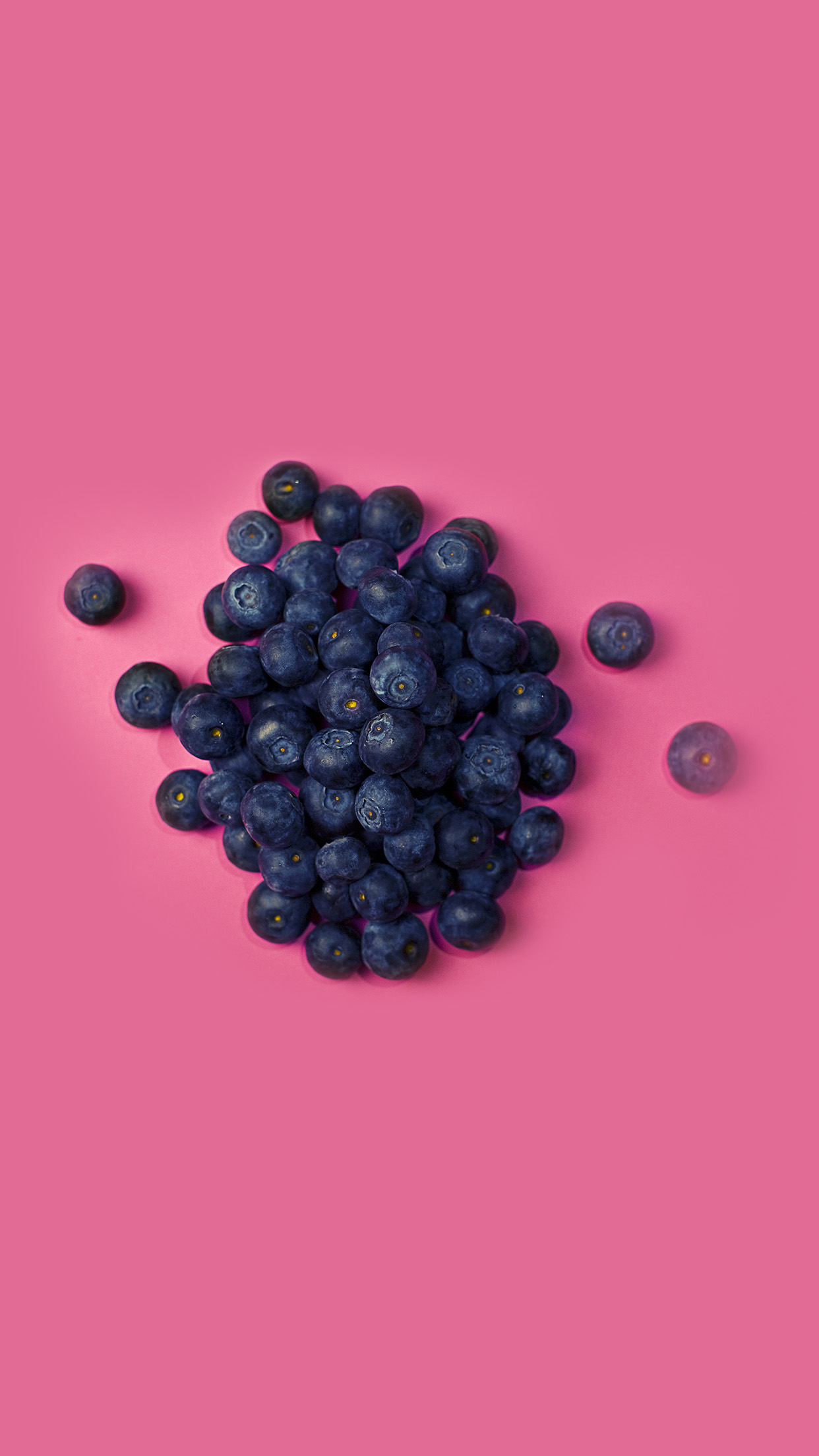 Blue Berry Wallpapers