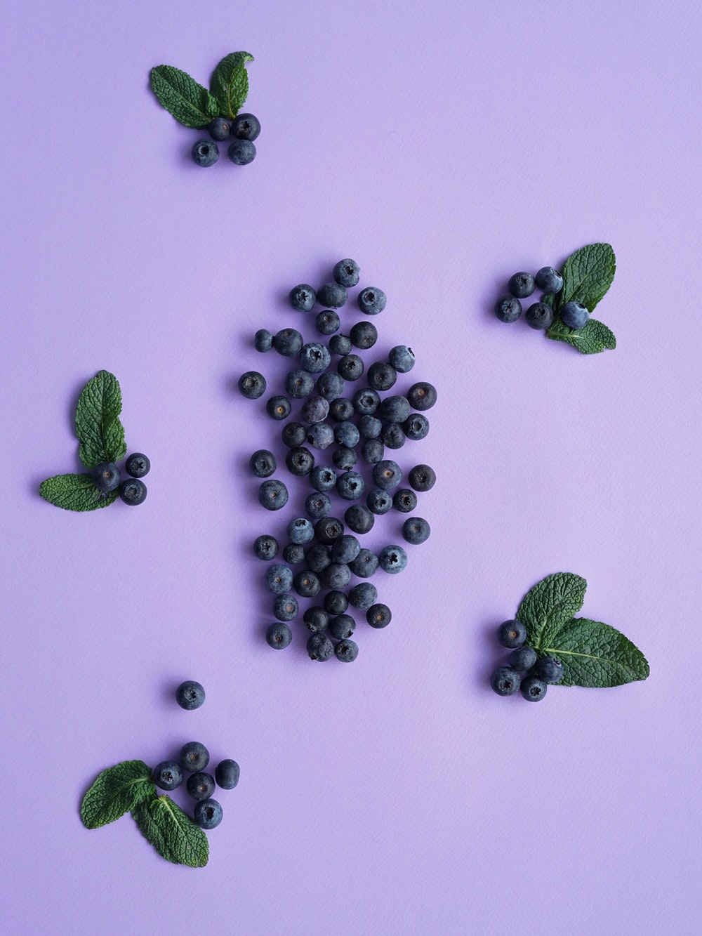 Blue Berry Wallpapers