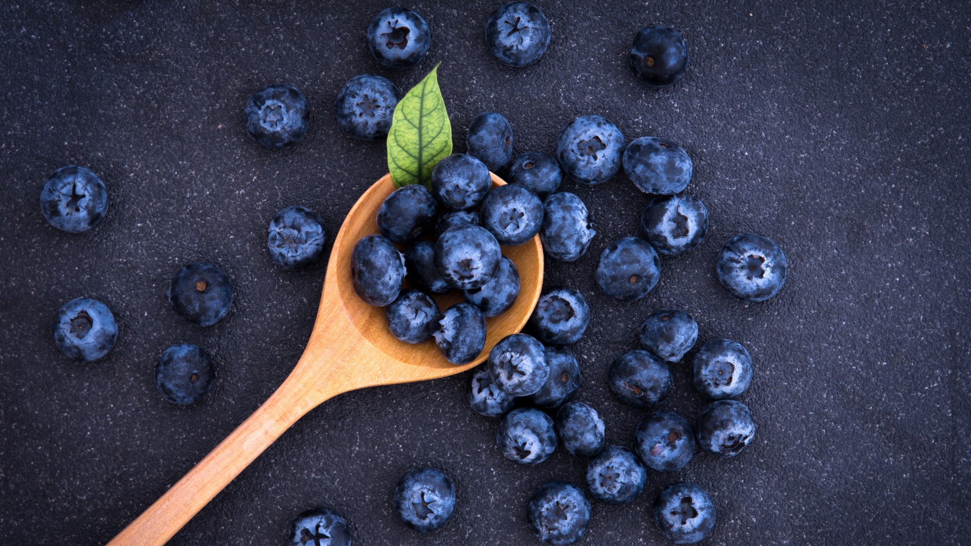 Blue Berry Wallpapers