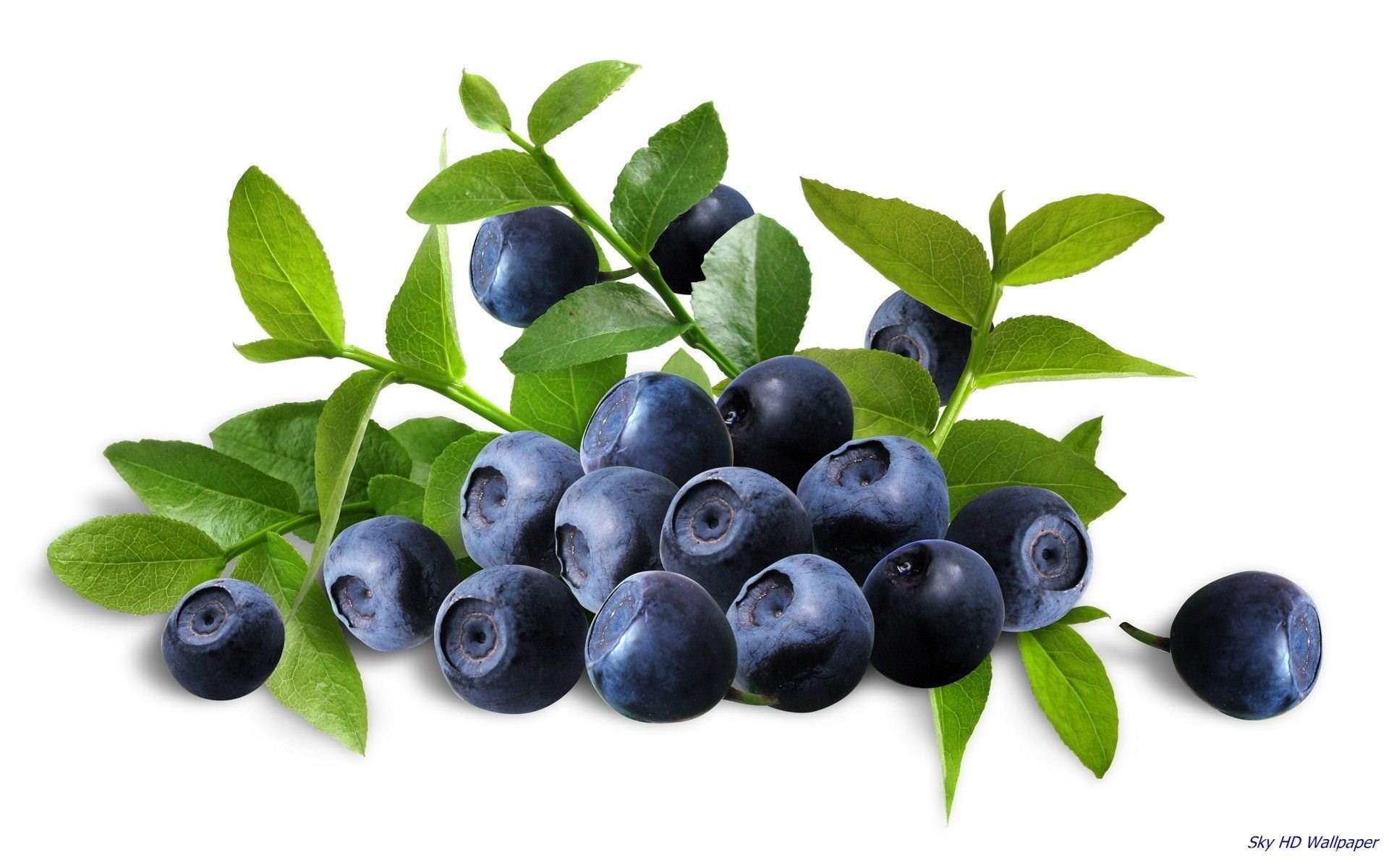 Blue Berry Wallpapers