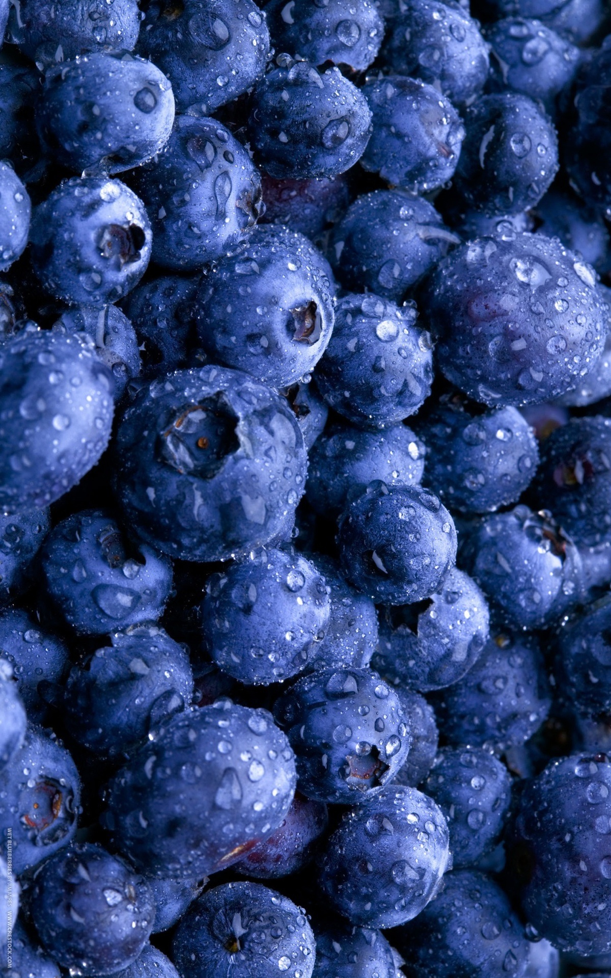 Blue Berry Wallpapers