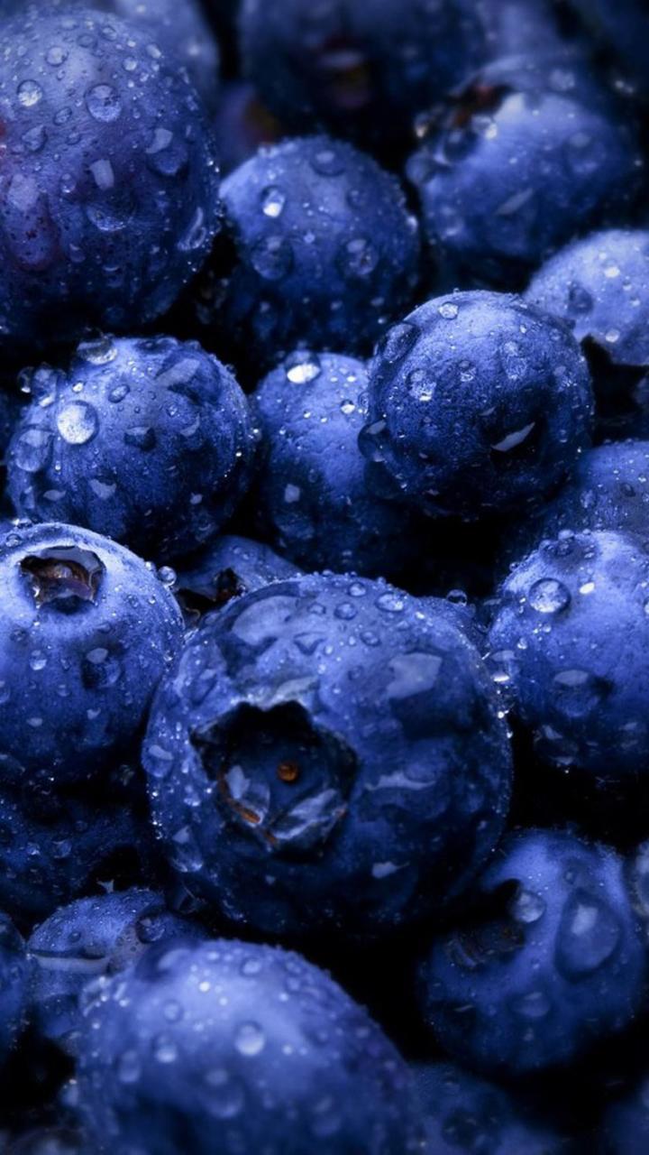 Blue Berry Wallpapers